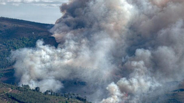 Incendi boschivi in Spagna e Francia