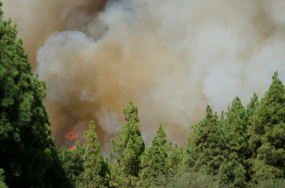 Incendio nella Gironda, Francia