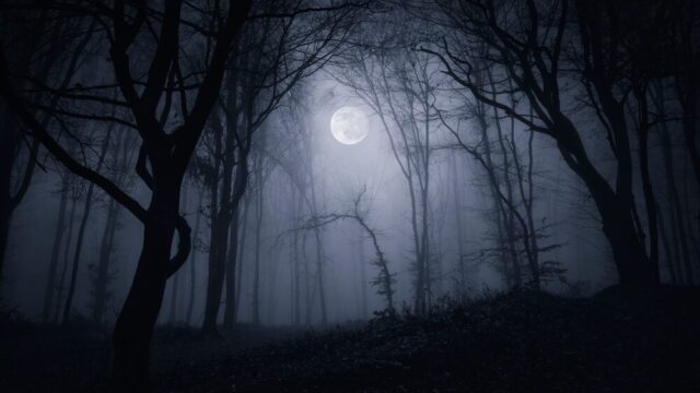 Silent Hill: Townfall - Immagine di gioco